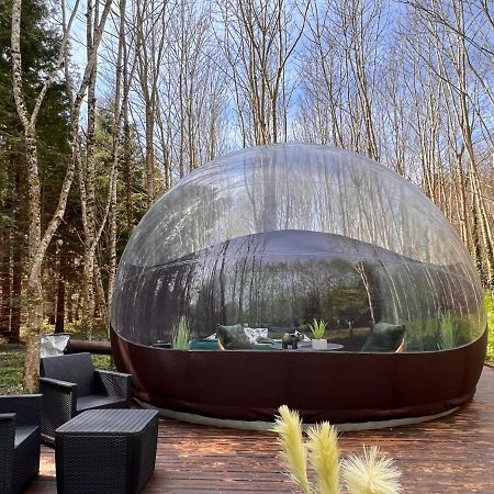 Logement insolite Bubble jungle Saint-Évarzec Extérieur photo