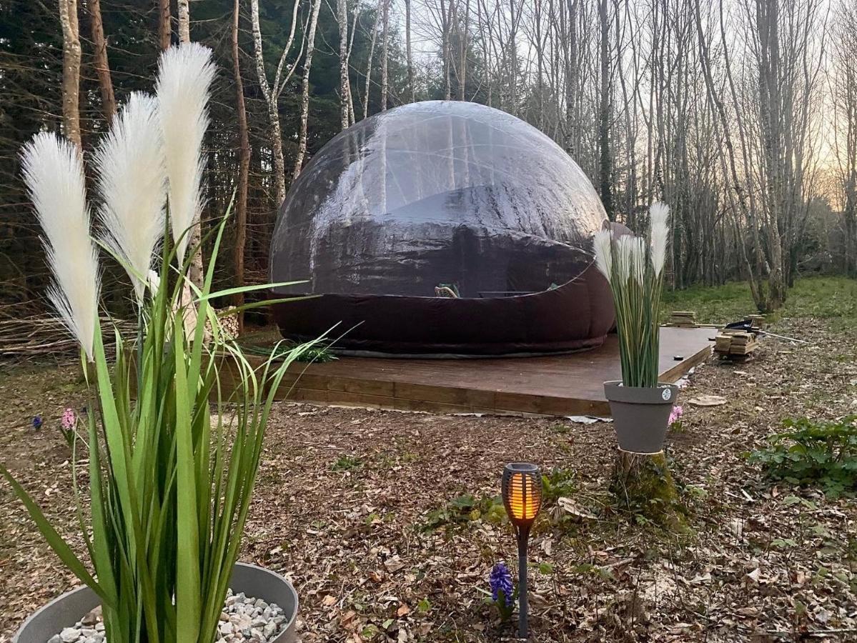Logement insolite Bubble jungle Saint-Évarzec Extérieur photo