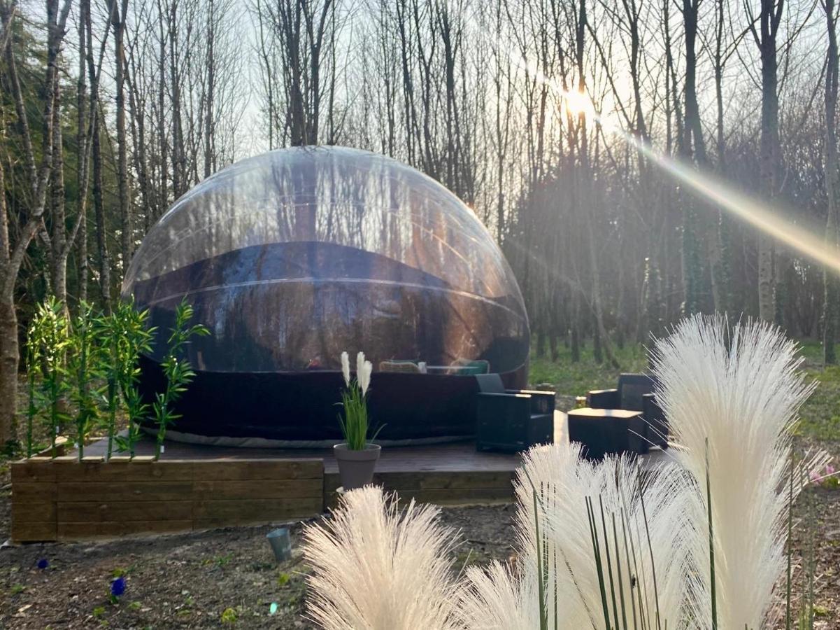 Logement insolite Bubble jungle Saint-Évarzec Extérieur photo