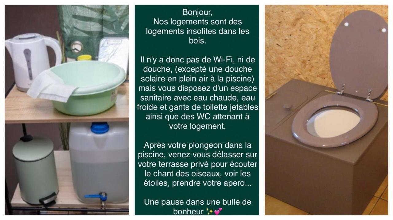 Logement insolite Bubble jungle Saint-Évarzec Extérieur photo